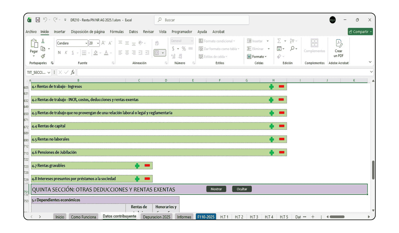 Interfaz de ingreso de datos en una sola hoja dividida en diez secciones para mayor agilidad.