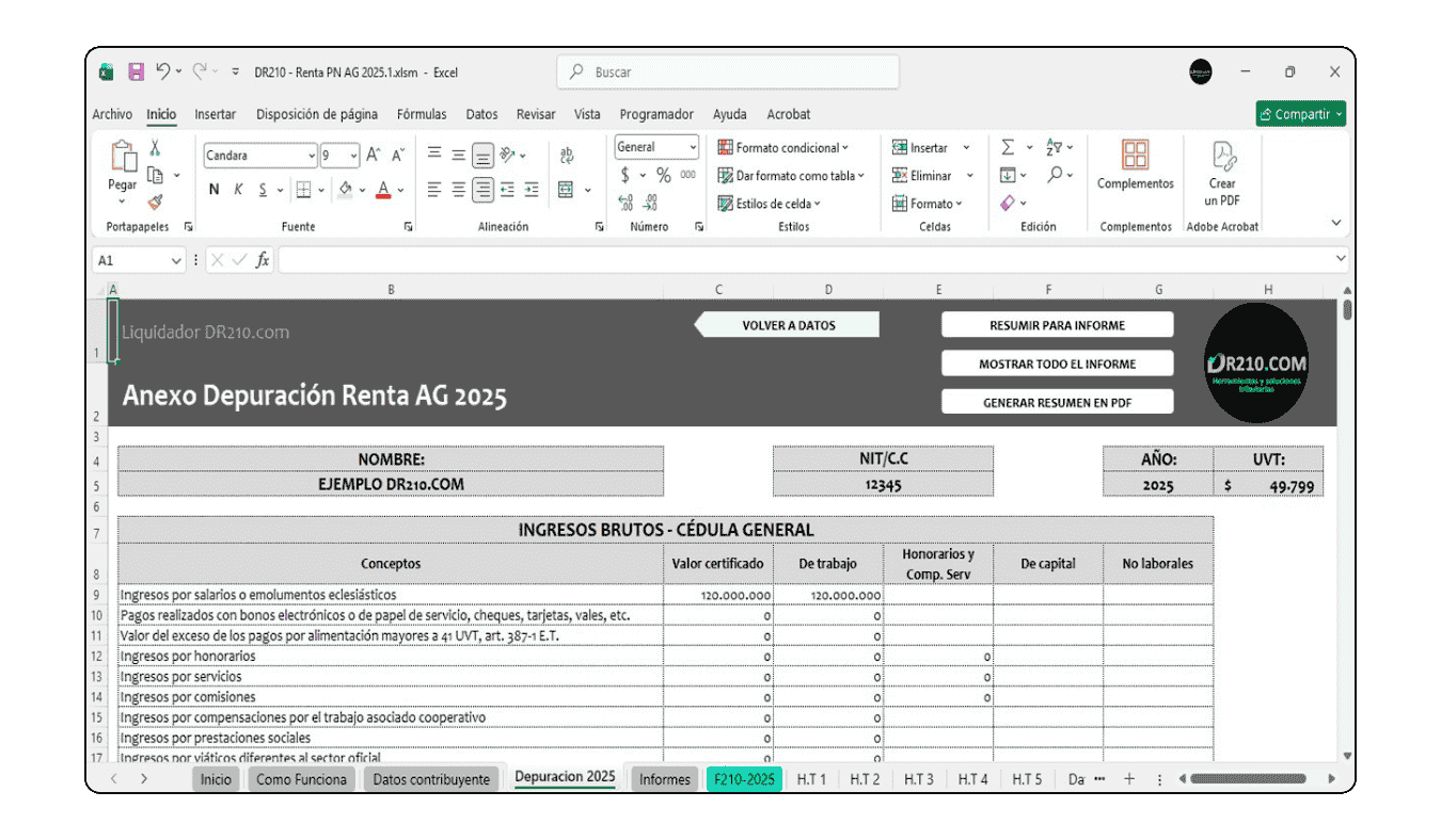 10 secciones de la hoja Datos Contribuyente para renta 2025